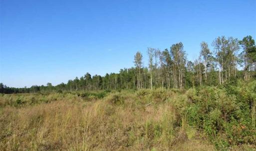 Photo of SOLD!!  25.9 Acres of Residential and Hunting Land For Sale in Columbus County NC!