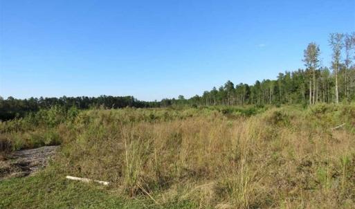 Photo of SOLD!!  25.9 Acres of Residential and Hunting Land For Sale in Columbus County NC!