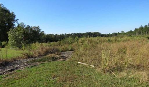 Photo of SOLD!!  25.9 Acres of Residential and Hunting Land For Sale in Columbus County NC!