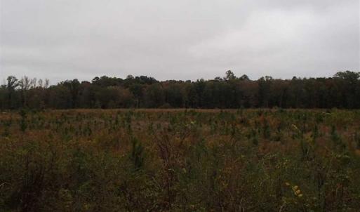 Photo of SOLD!!  187 Acres of Creek Front Land For Sale in Nash County NC!