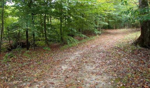 Photo of SOLD!!  187 Acres of Creek Front Land For Sale in Nash County NC!