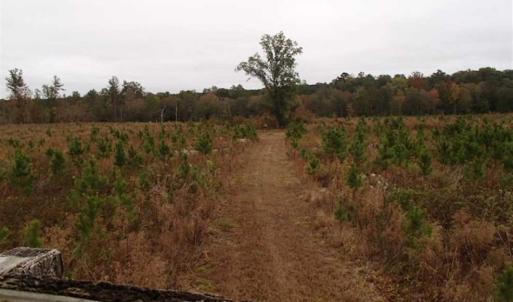 Photo of SOLD!!  187 Acres of Creek Front Land For Sale in Nash County NC!