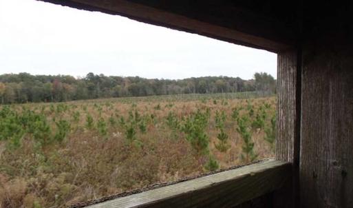 Photo of SOLD!!  187 Acres of Creek Front Land For Sale in Nash County NC!