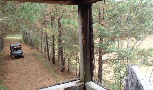 Photo of SOLD!!  187 Acres of Creek Front Land For Sale in Nash County NC!