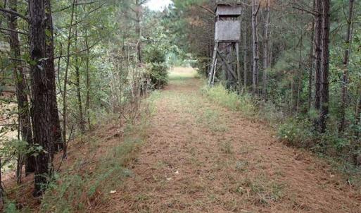Photo of SOLD!!  187 Acres of Creek Front Land For Sale in Nash County NC!