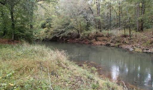 Photo of SOLD!!  187 Acres of Creek Front Land For Sale in Nash County NC!