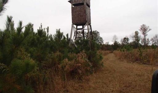 Photo of SOLD!!  187 Acres of Creek Front Land For Sale in Nash County NC!
