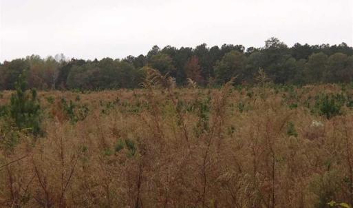 Photo of SOLD!!  187 Acres of Creek Front Land For Sale in Nash County NC!