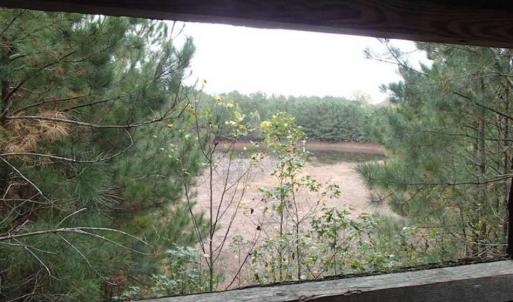 Photo of SOLD!!  187 Acres of Creek Front Land For Sale in Nash County NC!