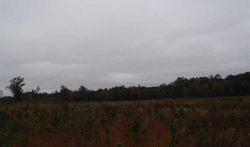 Photo of SOLD!!  187 Acres of Creek Front Land For Sale in Nash County NC!