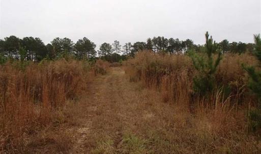 Photo of SOLD!!  187 Acres of Creek Front Land For Sale in Nash County NC!