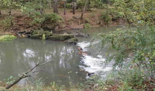 Photo of SOLD!!  187 Acres of Creek Front Land For Sale in Nash County NC!