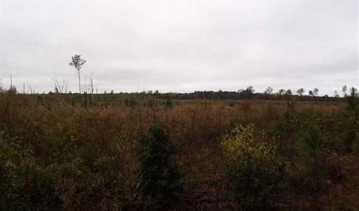 Photo of SOLD!!  187 Acres of Creek Front Land For Sale in Nash County NC!