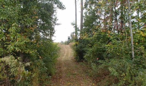 Photo of SOLD!!  187 Acres of Creek Front Land For Sale in Nash County NC!