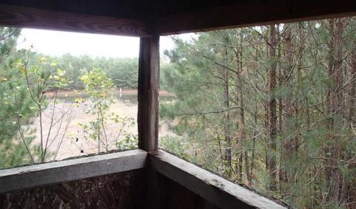 Photo of SOLD!!  187 Acres of Creek Front Land For Sale in Nash County NC!