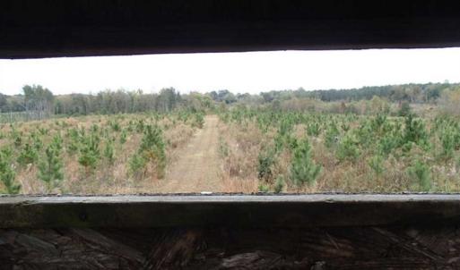 Photo of SOLD!!  187 Acres of Creek Front Land For Sale in Nash County NC!