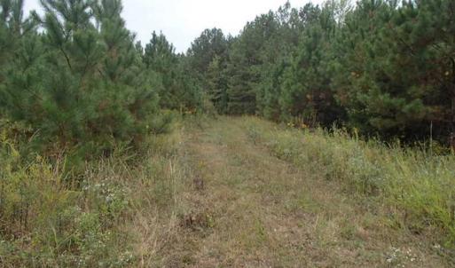 Photo of SOLD!!  187 Acres of Creek Front Land For Sale in Nash County NC!