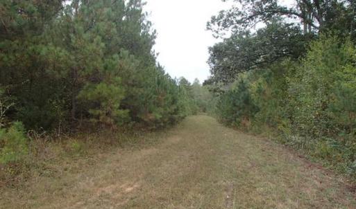 Photo of SOLD!!  187 Acres of Creek Front Land For Sale in Nash County NC!
