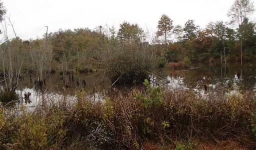 Photo of SOLD!!  187 Acres of Creek Front Land For Sale in Nash County NC!