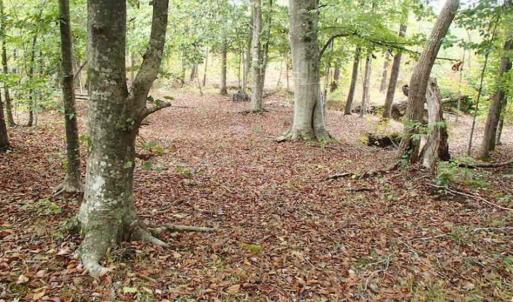 Photo of SOLD!!  187 Acres of Creek Front Land For Sale in Nash County NC!