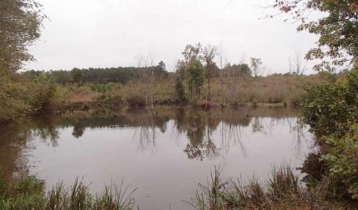 Photo of SOLD!!  187 Acres of Creek Front Land For Sale in Nash County NC!