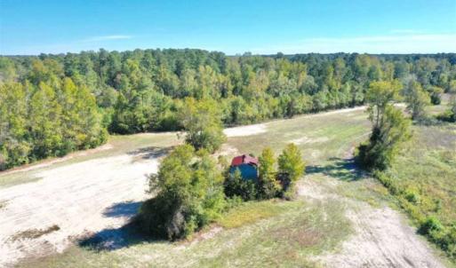 Photo of SOLD!   36.25 Ac of Farm Hunting and Residential Land for Sale in Columbus County NC!