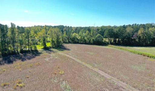 Photo of SOLD!   36.25 Ac of Farm Hunting and Residential Land for Sale in Columbus County NC!