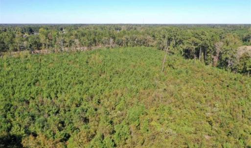 Photo of SOLD!   36.25 Ac of Farm Hunting and Residential Land for Sale in Columbus County NC!