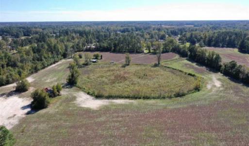 Photo of SOLD!   36.25 Ac of Farm Hunting and Residential Land for Sale in Columbus County NC!