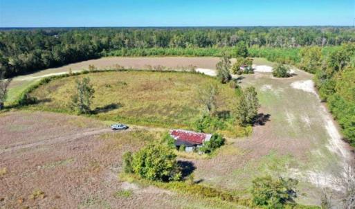 Photo of SOLD!   36.25 Ac of Farm Hunting and Residential Land for Sale in Columbus County NC!