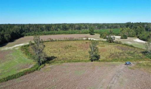Photo of SOLD!   36.25 Ac of Farm Hunting and Residential Land for Sale in Columbus County NC!