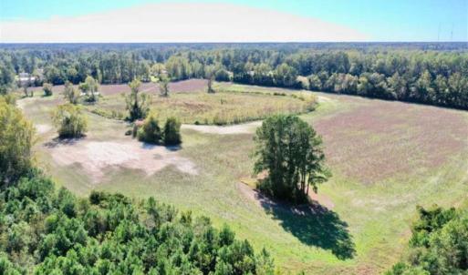 Photo of SOLD!   36.25 Ac of Farm Hunting and Residential Land for Sale in Columbus County NC!