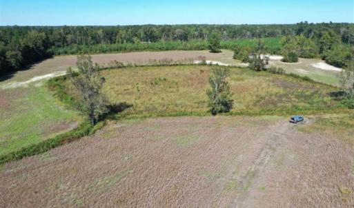 Photo of SOLD!   36.25 Ac of Farm Hunting and Residential Land for Sale in Columbus County NC!