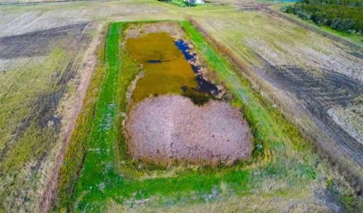 Photo of SOLD!!  20 Ac of Farm Land with Duck Impoundment and 3 Bedroom Home in Hyde Co NC!