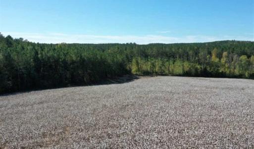 Photo of SOLD!!  45 Acres of Farm and Residential Land For Sale in Montgomery County NC!