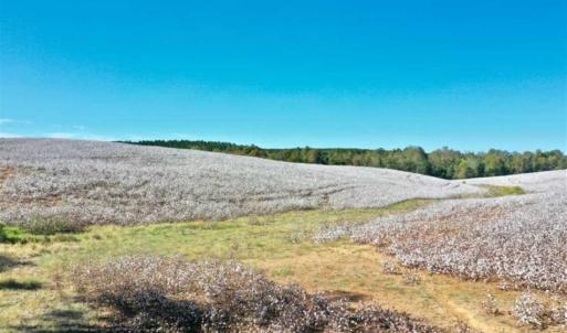 Photo of SOLD!!  45 Acres of Farm and Residential Land For Sale in Montgomery County NC!