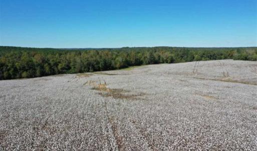 Photo of SOLD!!  45 Acres of Farm and Residential Land For Sale in Montgomery County NC!