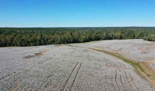 Photo of SOLD!!  45 Acres of Farm and Residential Land For Sale in Montgomery County NC!