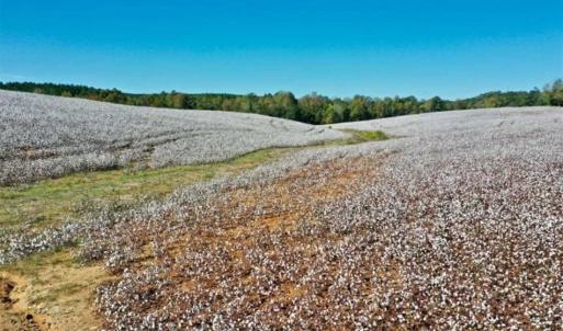 Photo of SOLD!!  45 Acres of Farm and Residential Land For Sale in Montgomery County NC!