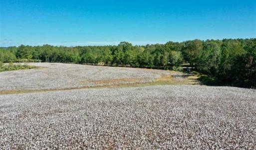 Photo of SOLD!!  45 Acres of Farm and Residential Land For Sale in Montgomery County NC!
