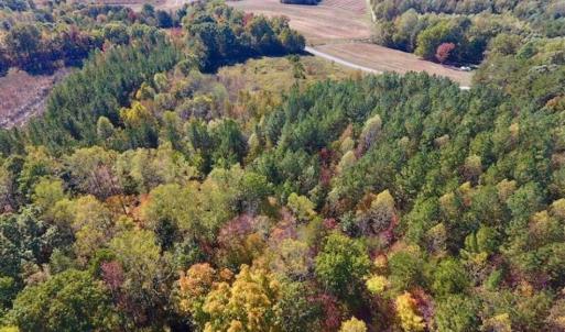 Photo of SOLD!!  81.9 Acres of Hunting and Timber Land for Sale in Caswell County NC!