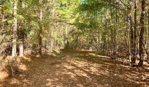 Photo of SOLD!!  81.9 Acres of Hunting and Timber Land for Sale in Caswell County NC!