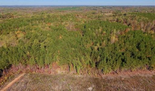 Photo of SOLD!!  81.9 Acres of Hunting and Timber Land for Sale in Caswell County NC!
