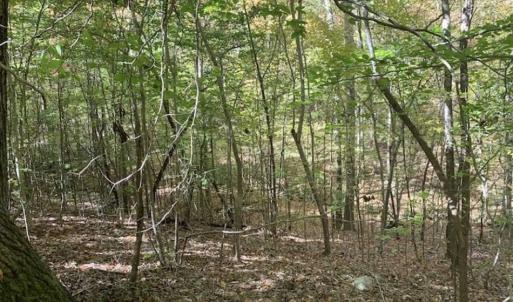 Photo of SOLD!!  81.9 Acres of Hunting and Timber Land for Sale in Caswell County NC!