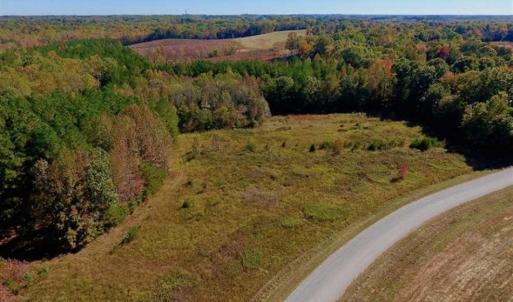 Photo of SOLD!!  81.9 Acres of Hunting and Timber Land for Sale in Caswell County NC!
