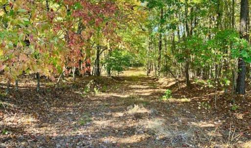 Photo of SOLD!!  81.9 Acres of Hunting and Timber Land for Sale in Caswell County NC!