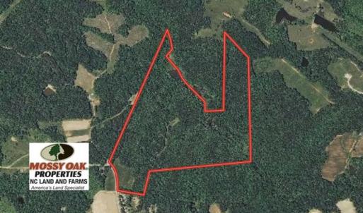 Photo of SOLD!!  81.9 Acres of Hunting and Timber Land for Sale in Caswell County NC!