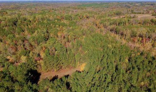 Photo of SOLD!!  81.9 Acres of Hunting and Timber Land for Sale in Caswell County NC!