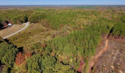 Photo of SOLD!!  81.9 Acres of Hunting and Timber Land for Sale in Caswell County NC!