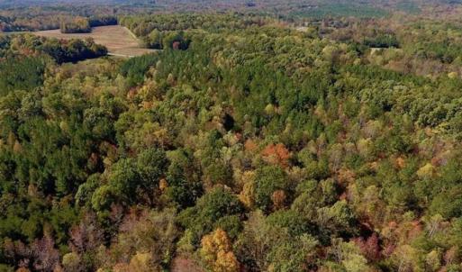 Photo of SOLD!!  81.9 Acres of Hunting and Timber Land for Sale in Caswell County NC!